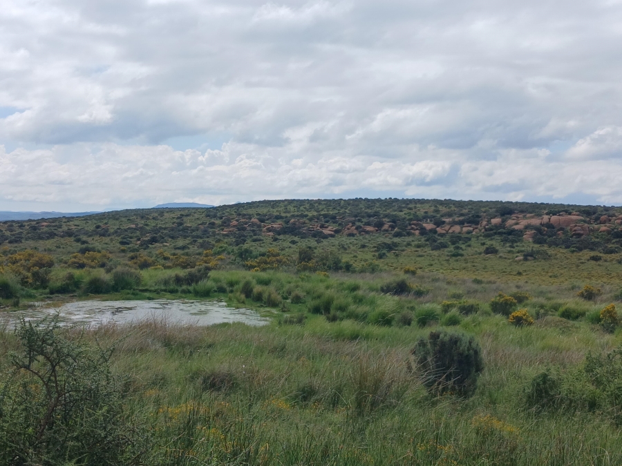 0 Bedroom Property for Sale in Richmond Rural Northern Cape